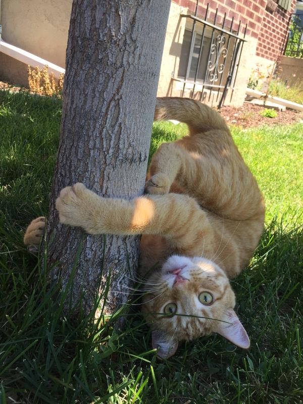 /Images/uploads/Humane Society of Utah/HSUCalendar/entries/1616thumb.jpg